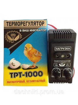 trt фото