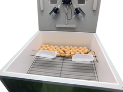 Інкубатор Курочка Ряба на 130 яєць (механічний переворот, цифровий терморегулятор, вентилятор)