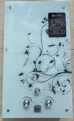 Газовый проточный водонагреватель (колонка) Rocterm ВПГ 10-АЕ 006 Дымоход (картинка под стеклом) ВПГ-10АЕ 006 фото