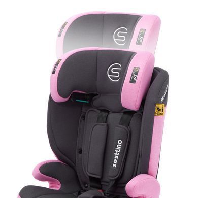 Автокресло Sesttino Rocker Pro Pink 9-36 кг Hnrt_4941 фото