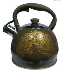 Чайник из нержавеющей стали со свистком 2 л. Edenberg EB-1956 Color 3